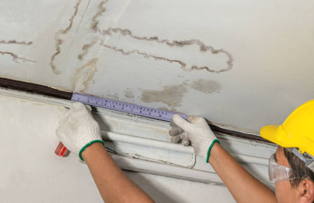 Reliable Water Damage Repair contractor in Jersey, GA by Hirex Water Damage